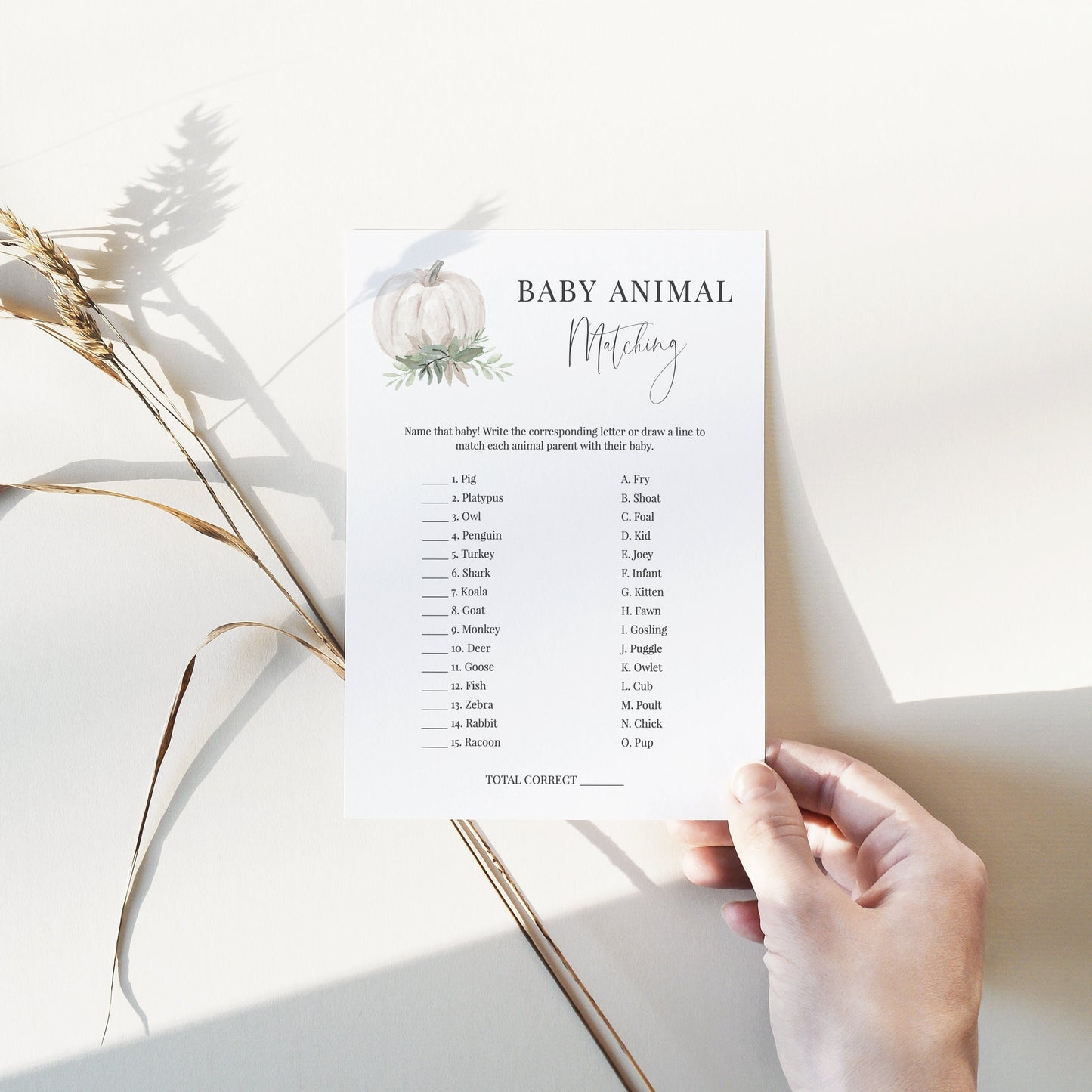 Editable Baby Animal Matching White Pumpkin Fall Baby Shower Games Gender Neutral Template